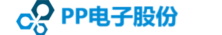 PP电子股份有限公司官方logo